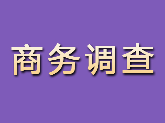 海原商务调查